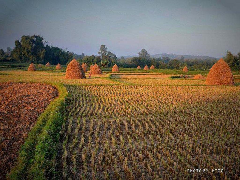 Mr Charles River View Lodge Hsipaw Exterior foto